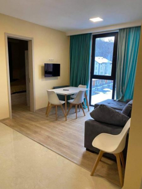 Bakuriani-M25, Apartment 404
